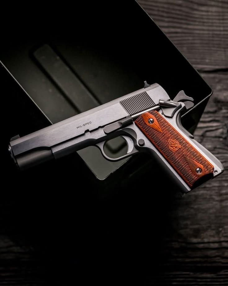 Hand Gun Hand Gun